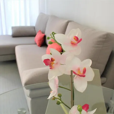 Great 2 Bd With Amazing Terrace Lägenhet *